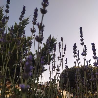 siyahrengiseven's profile picture. 🧐🤨🤔

Deü ilahiyat 5/5
🖤🤍