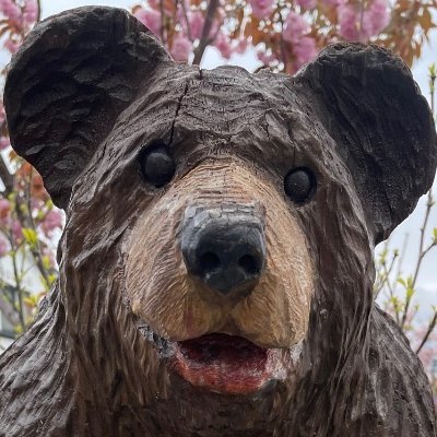 YSJ4147's profile picture.