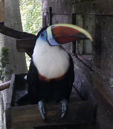 Guy_Porritt's profile picture. 