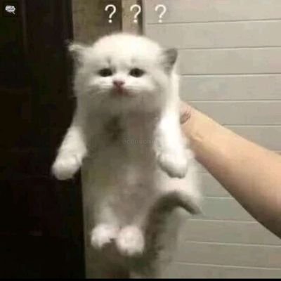 bubr766's profile picture. bi