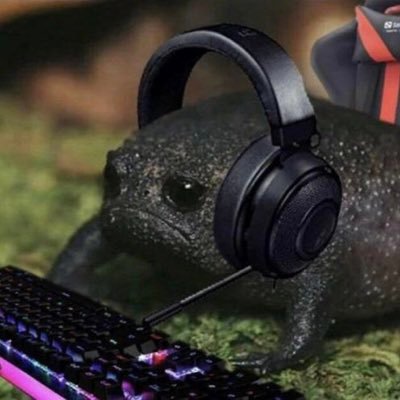 Aussie streamer on Twitch, Gamer.