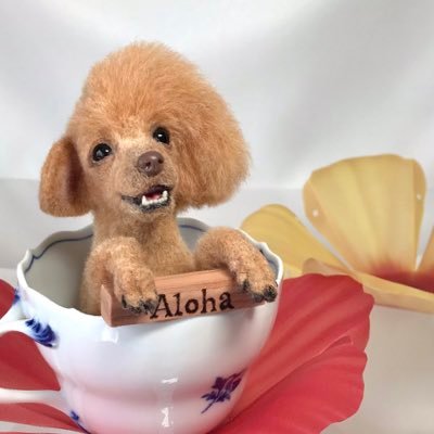 ❦ αloαlo ❦さんのプロフィール画像