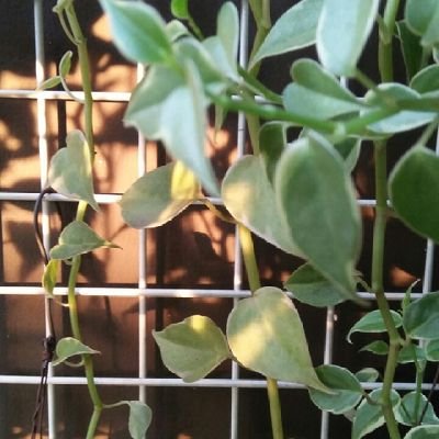 sahla_nazara's profile picture. Breath