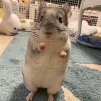 ひで (@wrc_hidemi) 's Twitter Profile