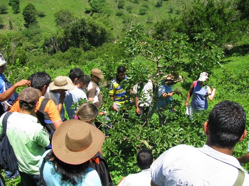 Frente Campesino