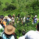 gil lugo - @gillugof - Twitter