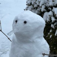 GenXer (@genxer24) 's Twitter Profile