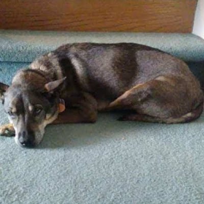 GutscheQuincy's profile picture. 