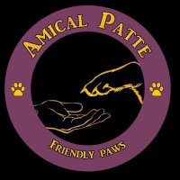 Amical Patte (@amicalpatte) 's Twitter Profile