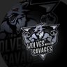 elmarseillais80's profile picture. manager chez les Wolves Savages Esport et joueur sur fifa et oui 41ans et toujours sur la console 🐺🐺🐺