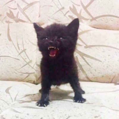 simple_neutrino's profile picture. 