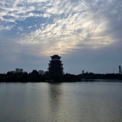 yangpan22419487's profile picture. 马甲