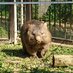 ocha.miruku.keki (@doverforestsg) Twitter profile photo ocha.miruku.keki (@doverforestsg) Twitter profile photo
