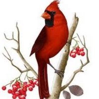 Mary Pancoast (@pancoastmary) 's Twitter Profile