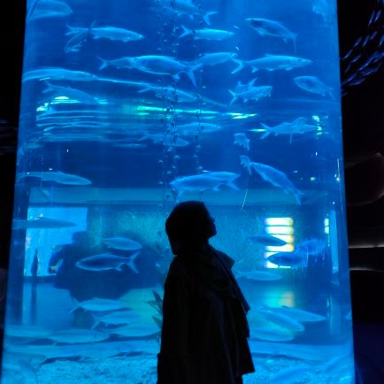 nadilland's profile picture. 