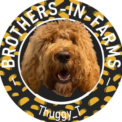 Terppy_T's profile picture. Home grown boof