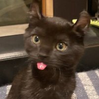 ethan.eth (@ethanwilding) 's Twitter Profile Photo ethan.eth (@ethanwilding) 's Twitter Profile Photo