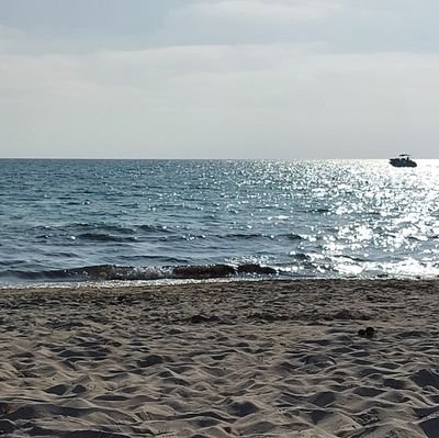 drvicesp's profile picture. Idealista, pensamiento positivo. Añorando la libertad de mi gente.