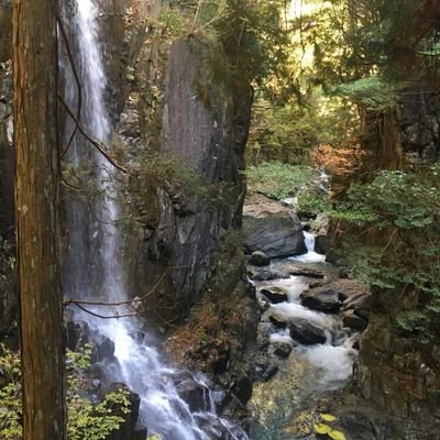 Iciba2vEj8U1hGB's profile picture. 奇跡の出会いと乙女チックな事を感じていた時期もありました
それも、これも 自己愛性人格障害の思う壷だった事に今更ながら気付かされる
気付いた時には  時すでに遅し
これ 共依存ってやつかしら