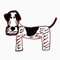 Insightful Irish Terrier (@kmwford374) 's Twitter Profile Photo Insightful Irish Terrier (@kmwford374) 's Twitter Profile Photo