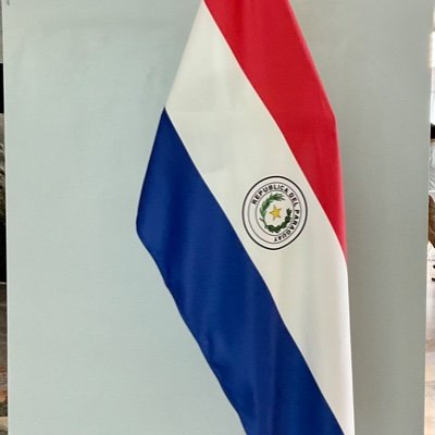 Misión Paraguay ONUGVA