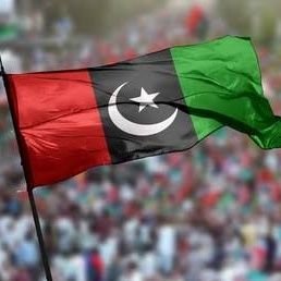 PYO_Pakistan's profile picture. 