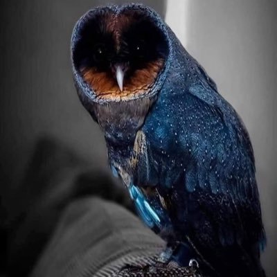 blogyattemasuyo's profile picture. 