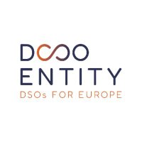 DSO Entity(@DSOEntity_eu) 's Twitter Profile Photo