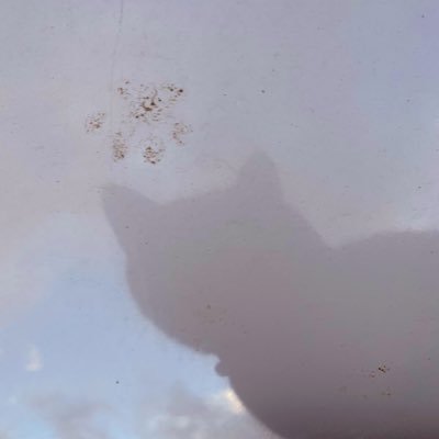 30代/美容好き/コスメ、化粧品好き/猫好き/ちい活/ゆる〜くグリフリ/争奪戦苦手/酸化亜鉛苦手//美容皮膚科のレポや美容に関係ない事も呟きます/無言フォロー失礼します!無言フォロー大歓迎です!