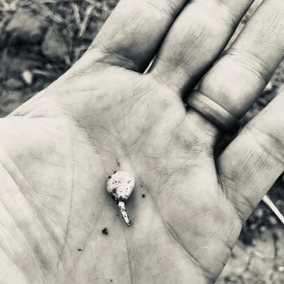lon_muir's profile picture. Husband, Father of 3 boys, Pharmacist, 🌽 Corn, 🌾 Wheat and Soybeans. Always trying to find time to 🎣 fish and snowmobile.