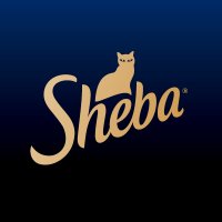 Sheba Hope Grows Collective(@shebahopegrows) 's Twitter Profileg