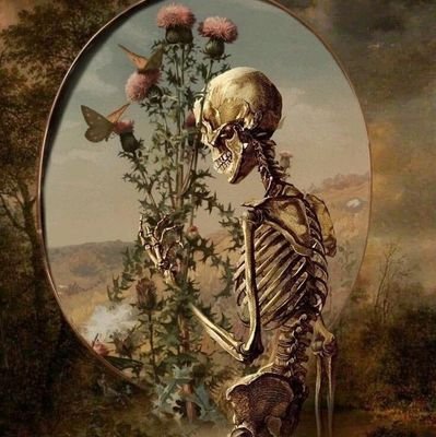 jvalantine6926's profile picture. 