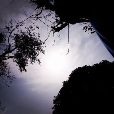 Um_jiroz's profile picture. 