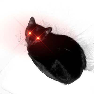 kobybeambeam Profile Picture