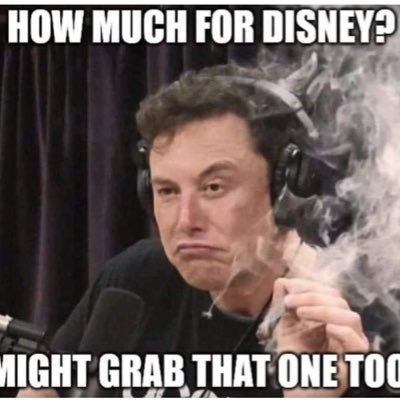 PammyGeee's profile picture. I adore Elon, he’s genius