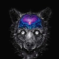 Larry_c (@larry_c) 's Twitter Profile