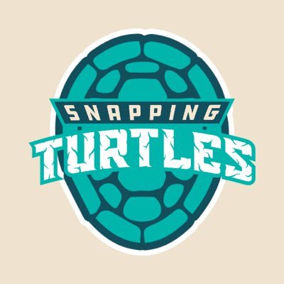 Official social media home of the Snapping Turtles | @CSL_grandpark | Head Coach: Robb Wicks | Sponsored by @lids | #HumTurts | #ShellYeah