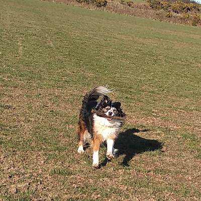 TaniaMa49346586's profile picture. 