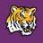 Kristi Janes - @LSUTigahFan Twitter Profile Photo