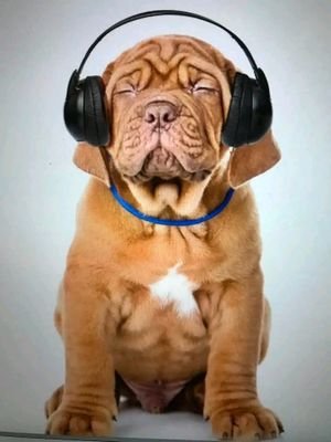 GapiteyJ's profile picture. Mon travail