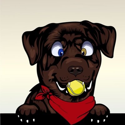 just a choccy lab! - 1️⃣6️⃣ - cis - ♂- pubby 🐶 - 🎾 dealer - dodge, 🏈 & 🥍 fan 😍 |if ur an adult plz don’t be weird| oc @strudelproto - part of @100uwusclan