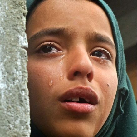 Kashmir70449488's profile picture. Sleeping