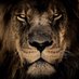 Kevin Engel (@kevinen92672939) Twitter profile photo Kevin Engel (@kevinen92672939) Twitter profile photo