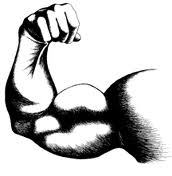 LaMelazaNYC's profile picture. 