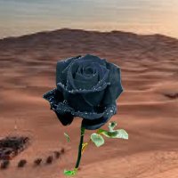 Niko (@niko_bugz) 's Twitter Profile