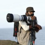 mustafageo08's profile picture. Photographer I NFT artist

Tezos Creator and Collector.