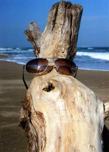 39_tomo's profile picture. お笑いと音楽と旅と女の子が好きです。あと時々写真撮ってます。