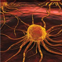 CancerMedicine (@cancermedicinej) 's Twitter Profile