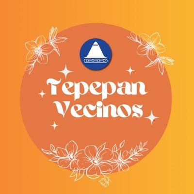 TepepanVecinos Profile Picture
