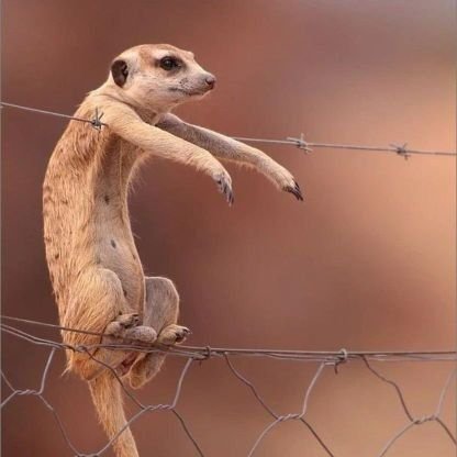 NELSON_189's profile picture. 